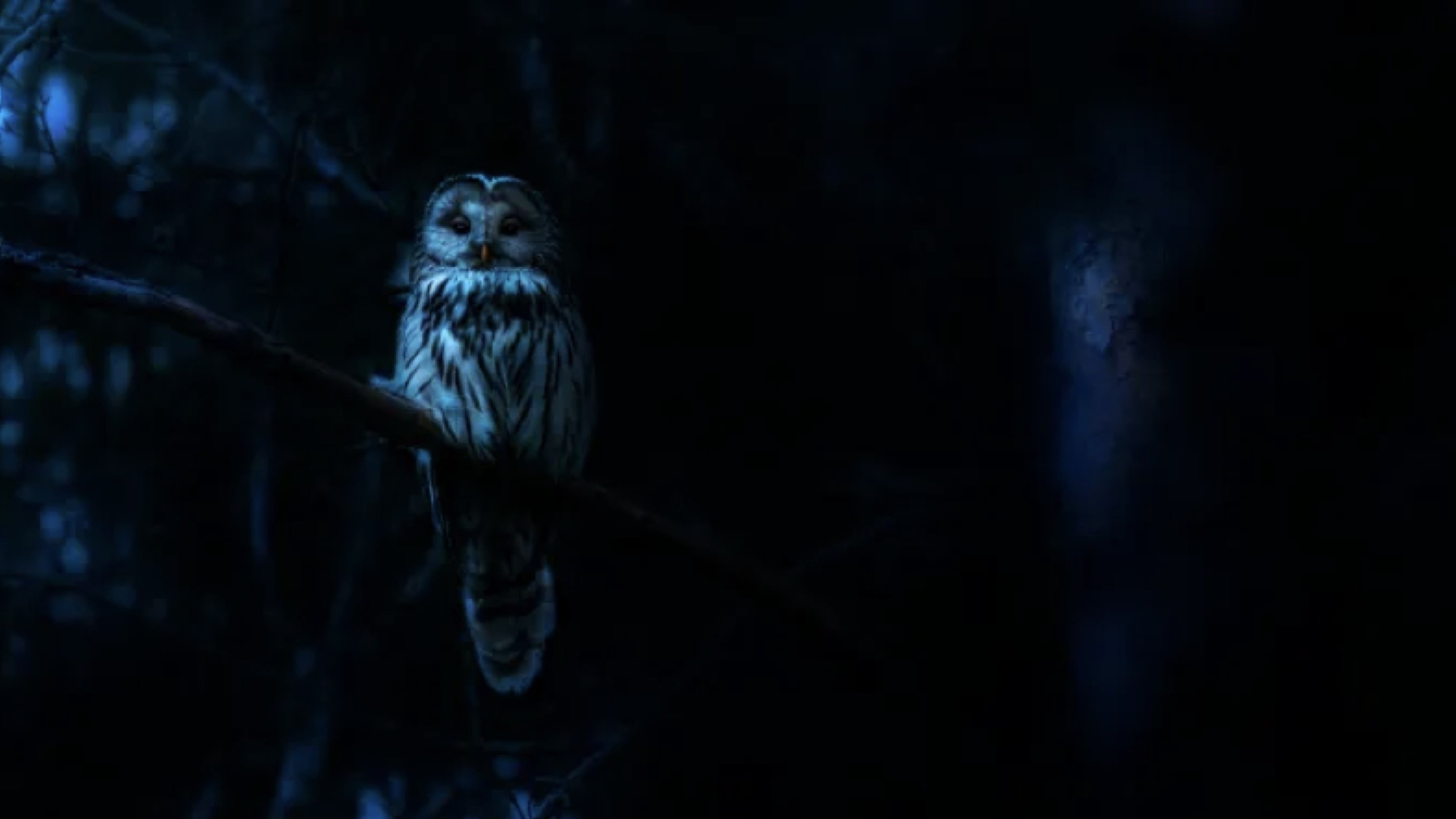 Xem phim Ác Mộng Của Thiên Nhiên (Phần 1) (Nightmares Of Nature (Season 1)) 2025