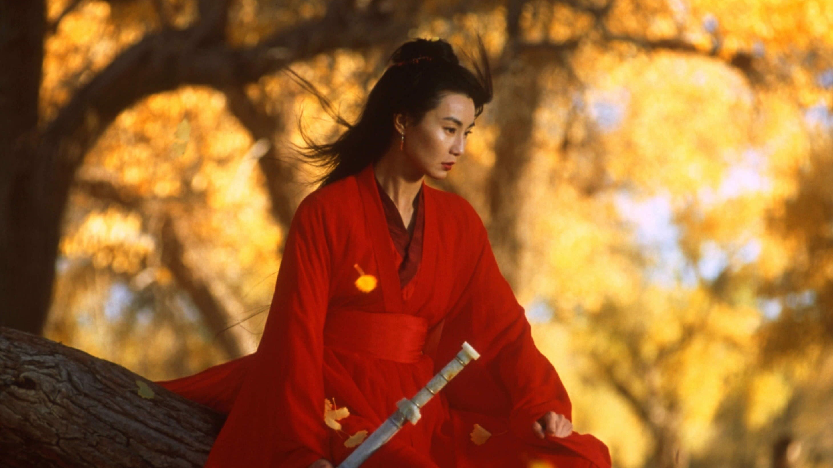 Xem phim Anh Hùng (Hero 2002) 2002