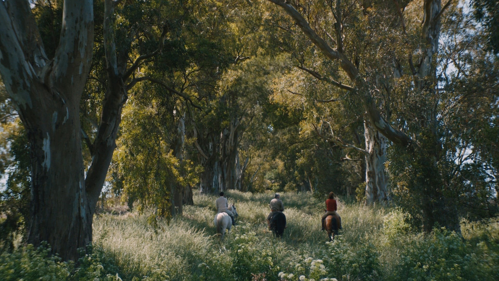 Xem phim Azor (Azor) 2021