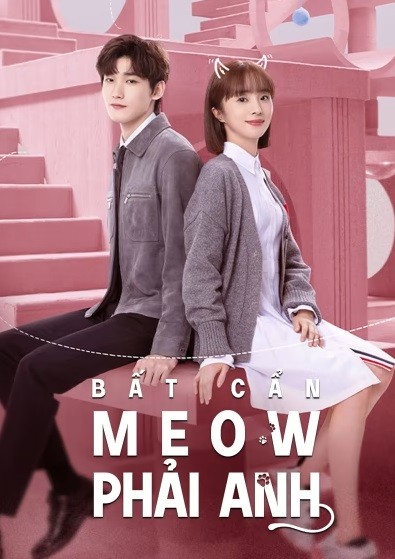 Bất Cẩn Meow Phải Anh