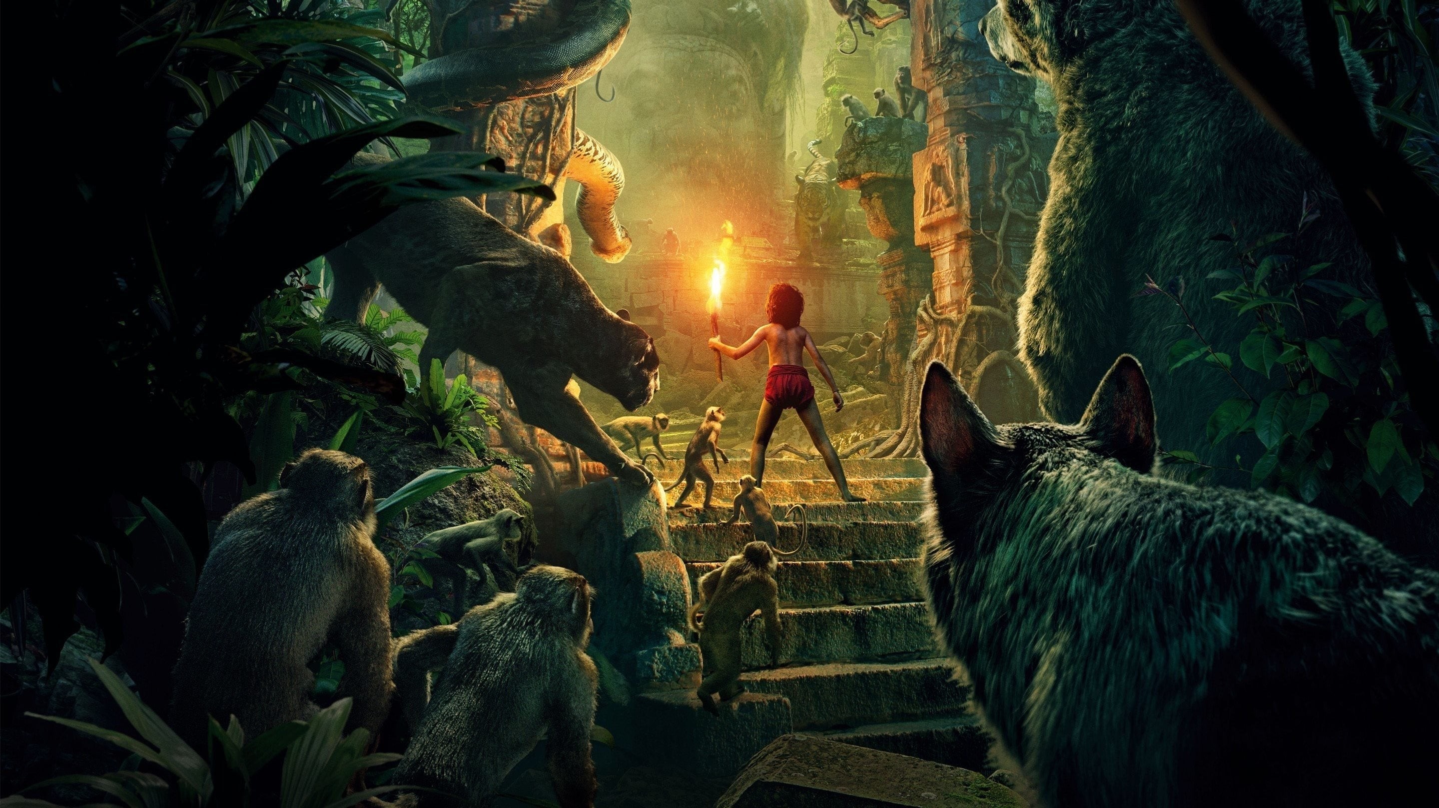 Xem phim Cậu Bé Rừng Xanh (The Jungle Book) 2016
