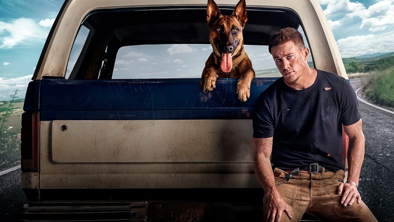 Xem phim Chó Đặc Vụ (Dog) 2022