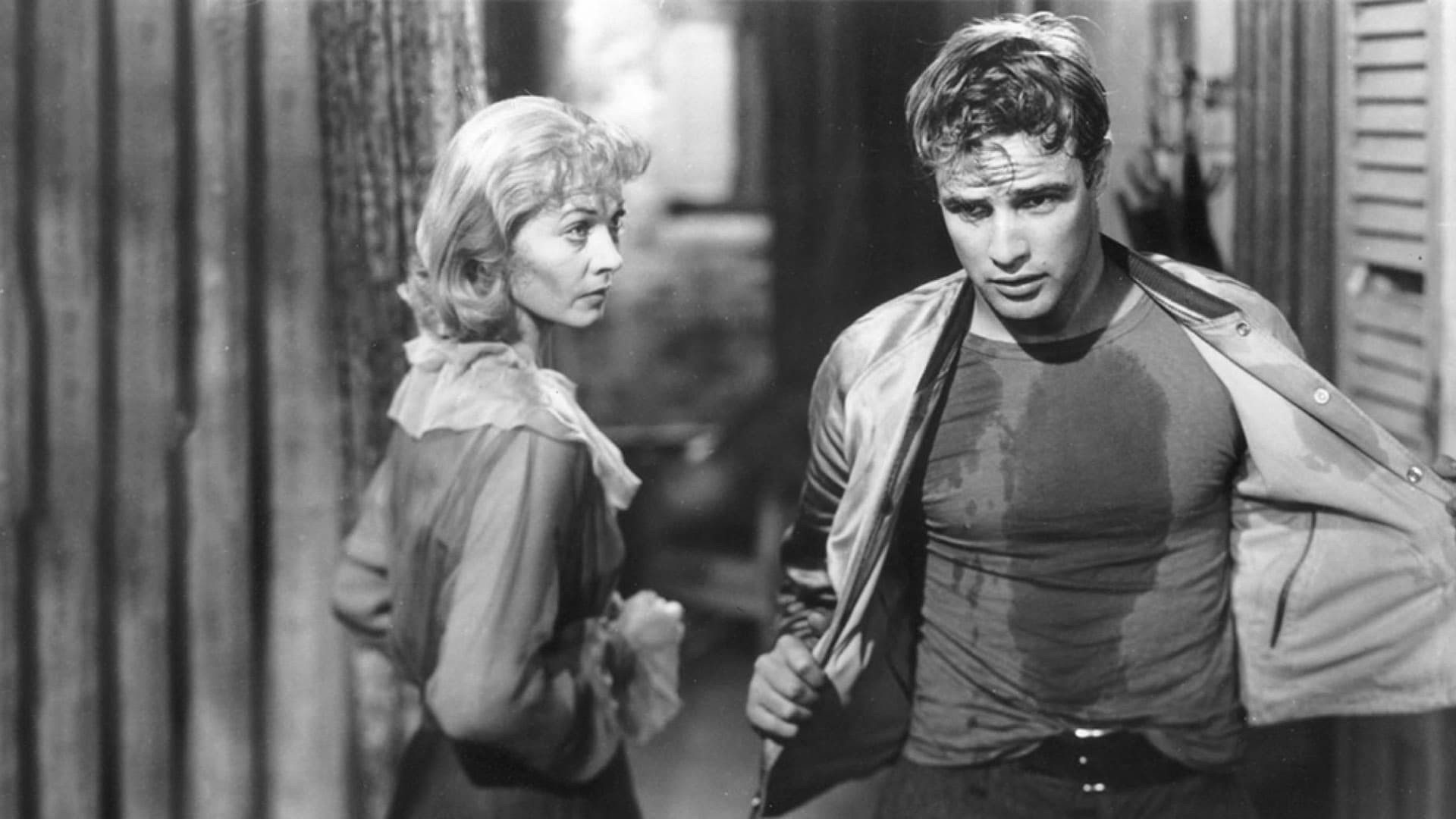 Xem phim Chuyến Tàu Mang Tên Dục Vọng (A Streetcar Named Desire) 1951