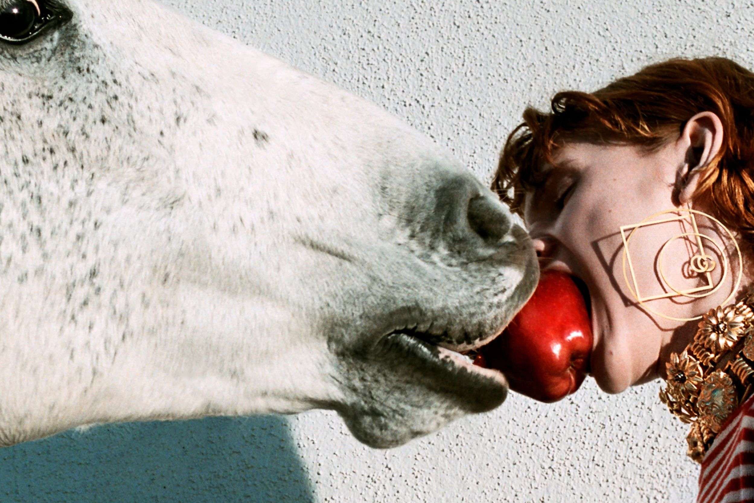 Xem phim Cô Gái Cùng Bầy Ngựa (Horse Girl) 2020