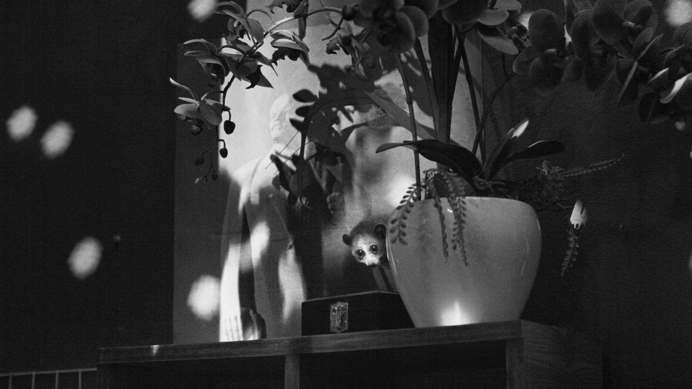 Cu Li Không Bao Giờ Khóc