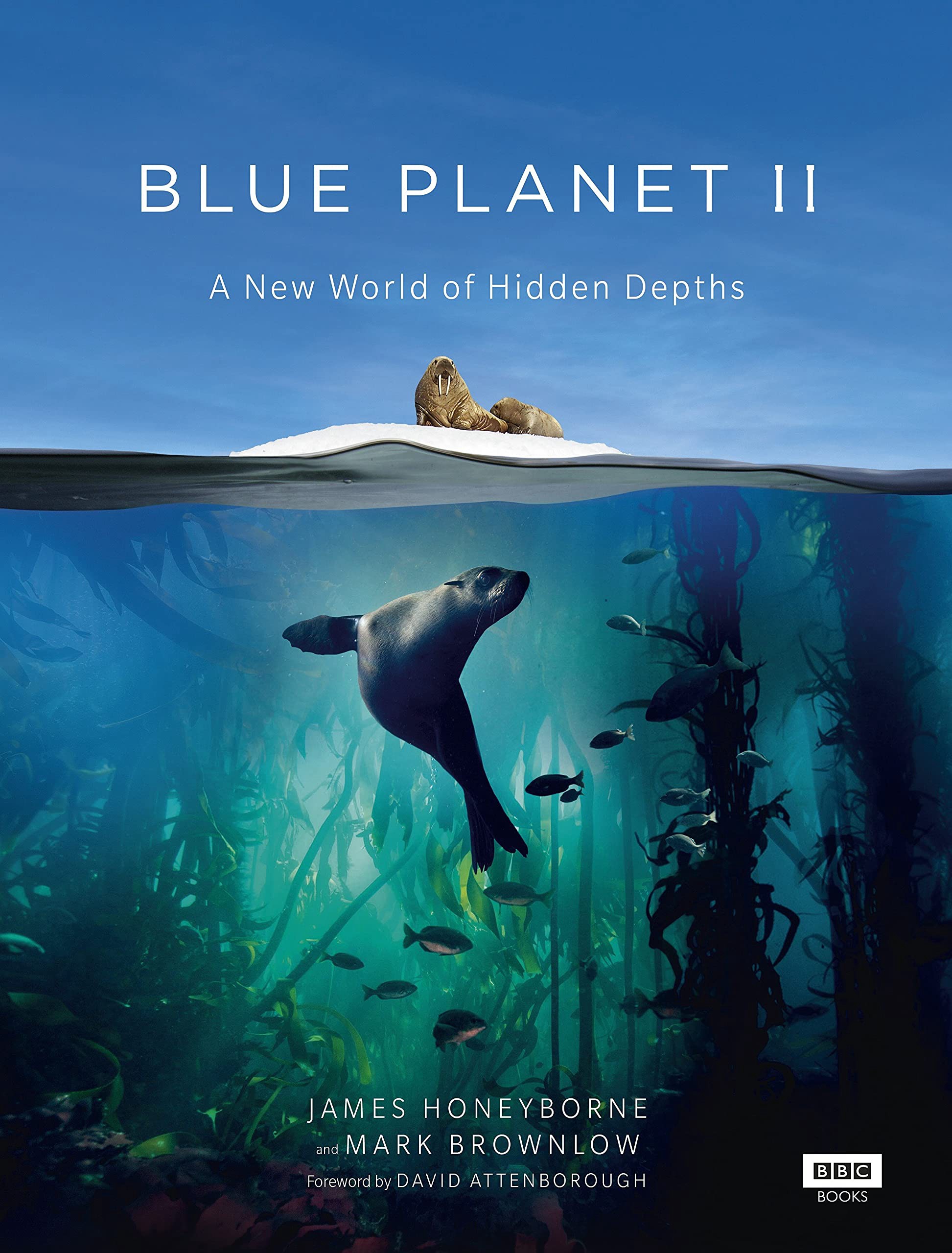 Xem phim Đại Dương Sâu Thẳm 2 (The Blue Planet 2) 2017