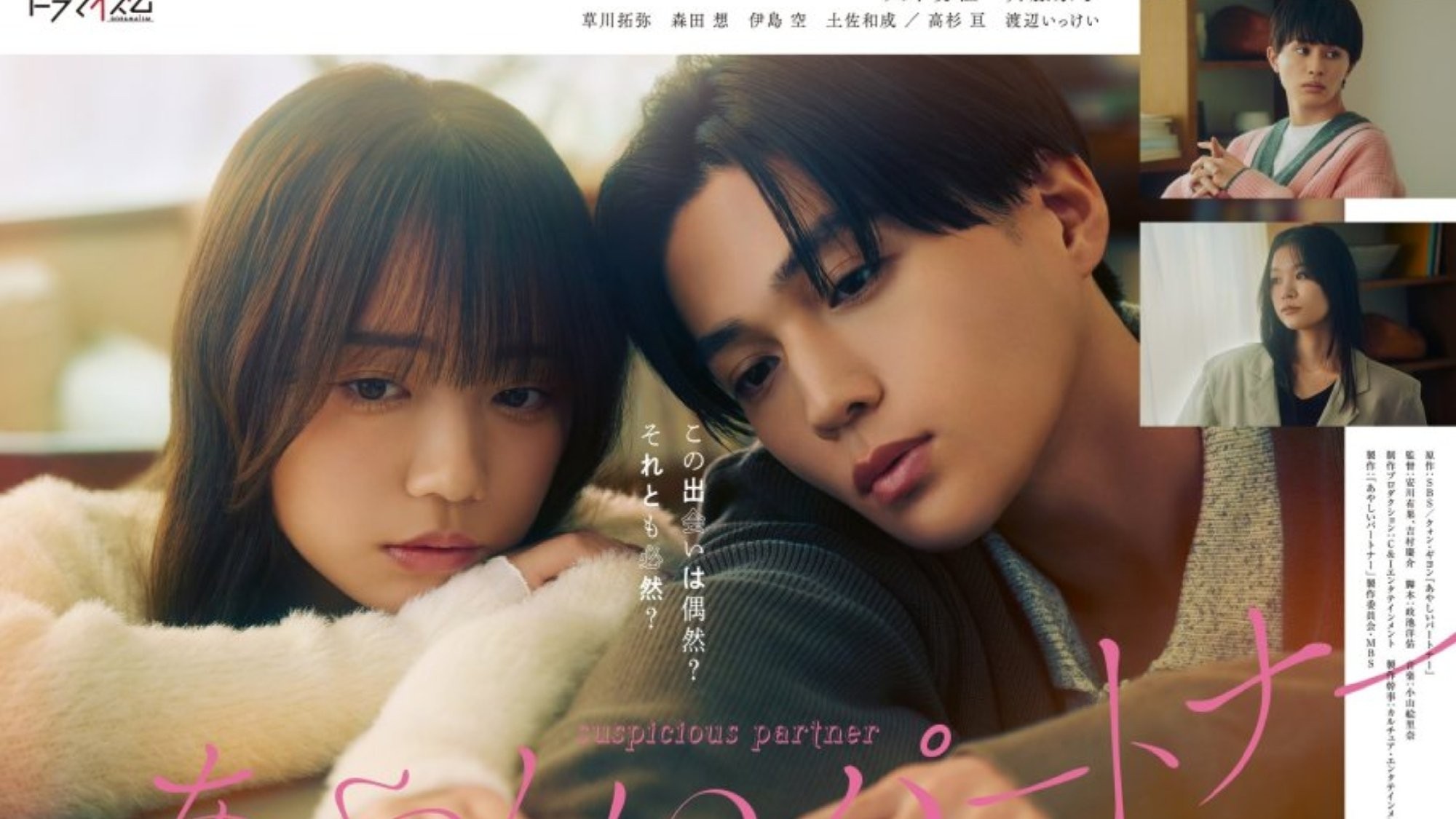 Xem phim Đối Tác Đáng Ngờ (Bản Nhật) (Ayashii Partner) 2025