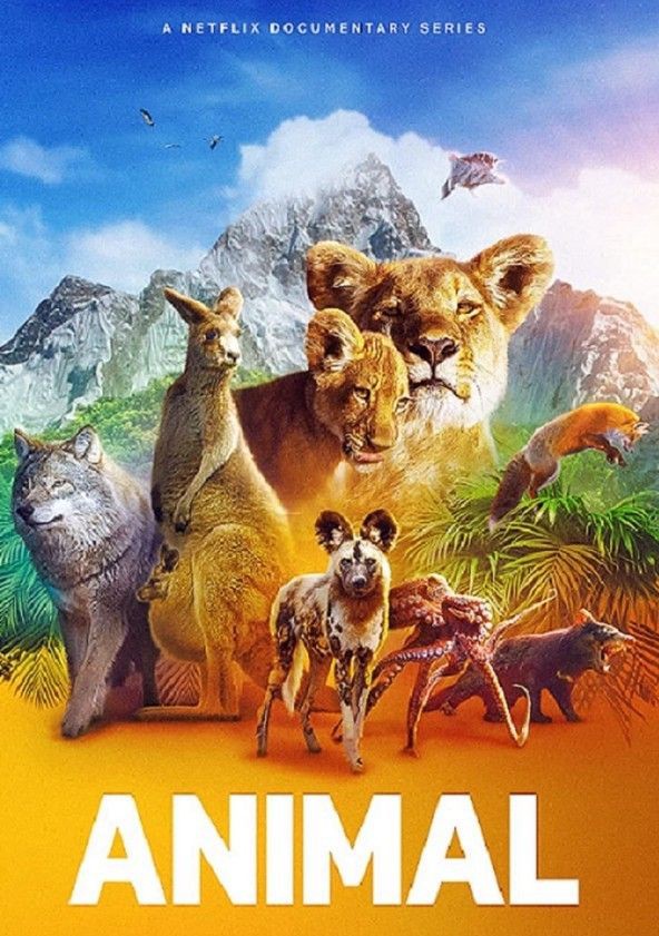 Xem phim Động vật (Phần 2) (Animal (Season 2)) 2022