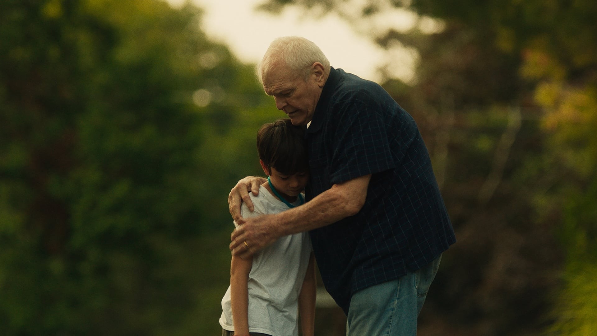 Xem phim Driveways (Driveways) 2020