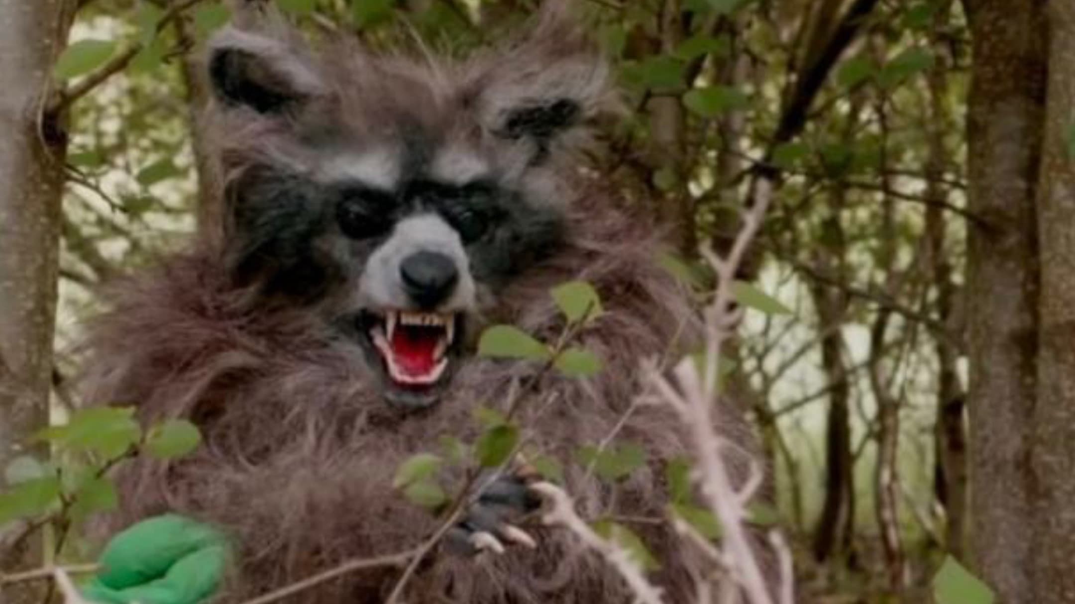 Gấu Trúc Điên Loạn