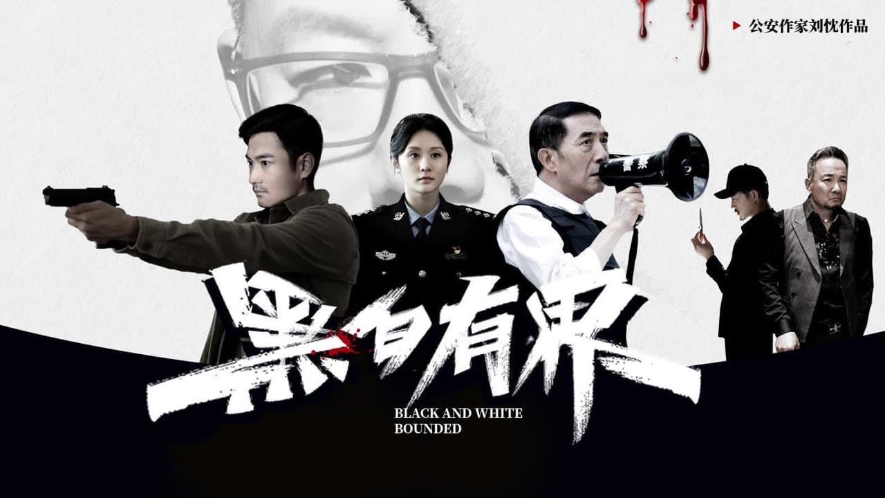 Xem phim Hắc Bạch Hữu Giới (Black and White Rounded) 2024