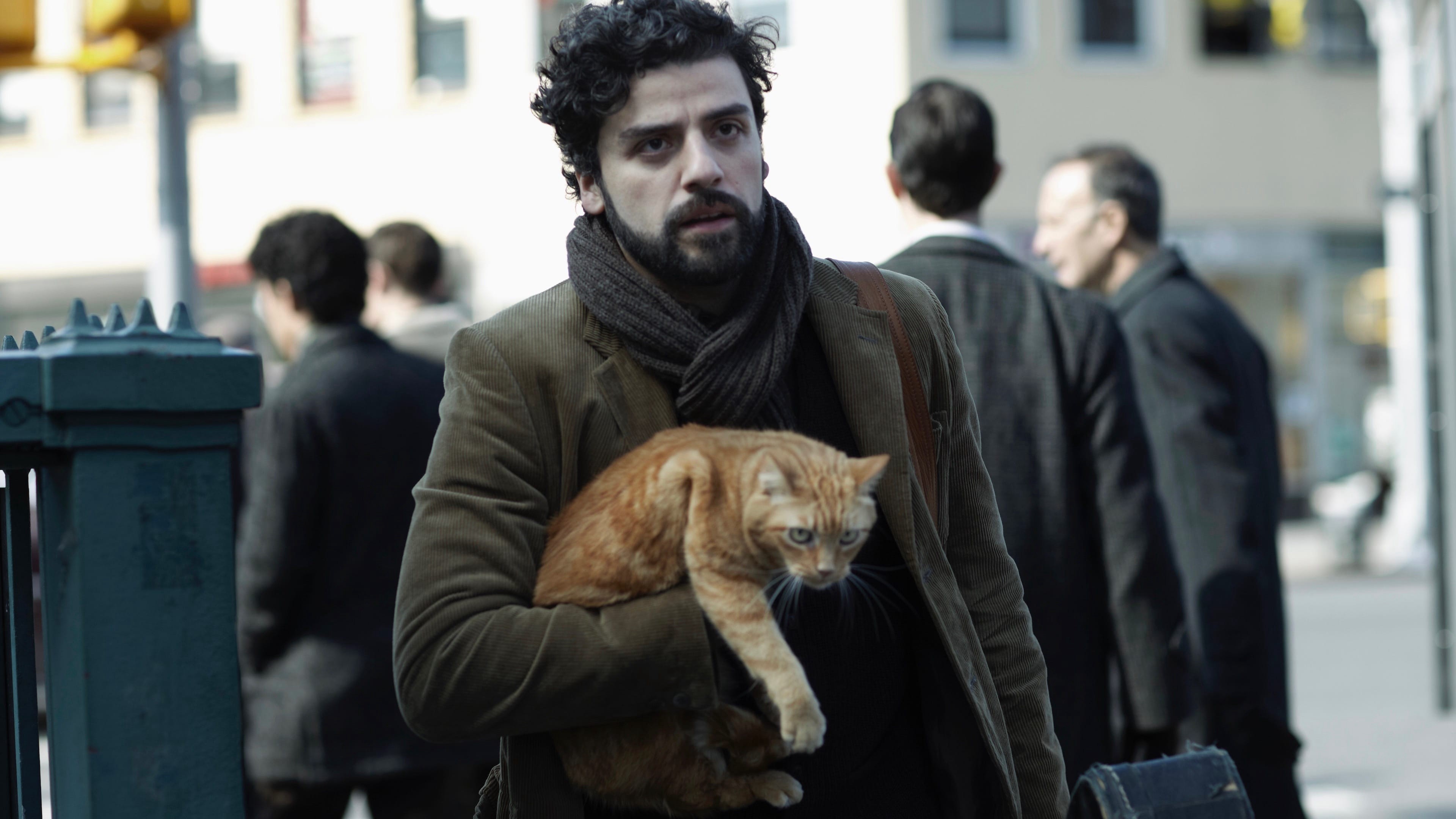 Xem phim Inside Llewyn Davis (Inside Llewyn Davis) 2013