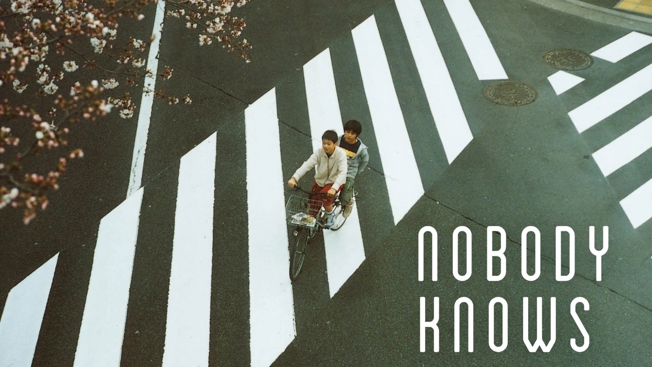 Xem phim Không Ai Biết (Nobody Knows) 2004