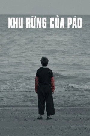 Khu rừng của Páo
