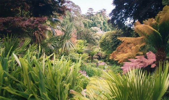 Xem phim Khu Vườn Mộng Mơ (Dream Garden) 2021