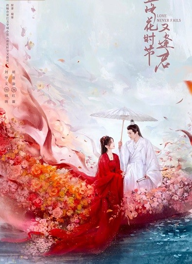 Mùa Hoa Rơi Gặp Lại Chàng