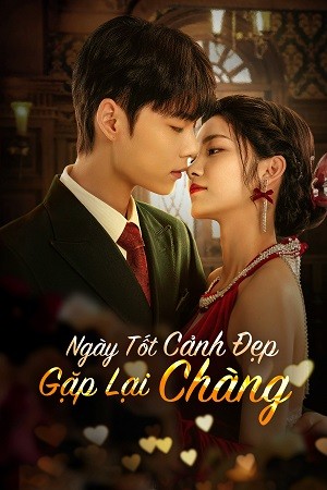 Ngày Tốt Cảnh Đẹp Gặp Lại Chàng
