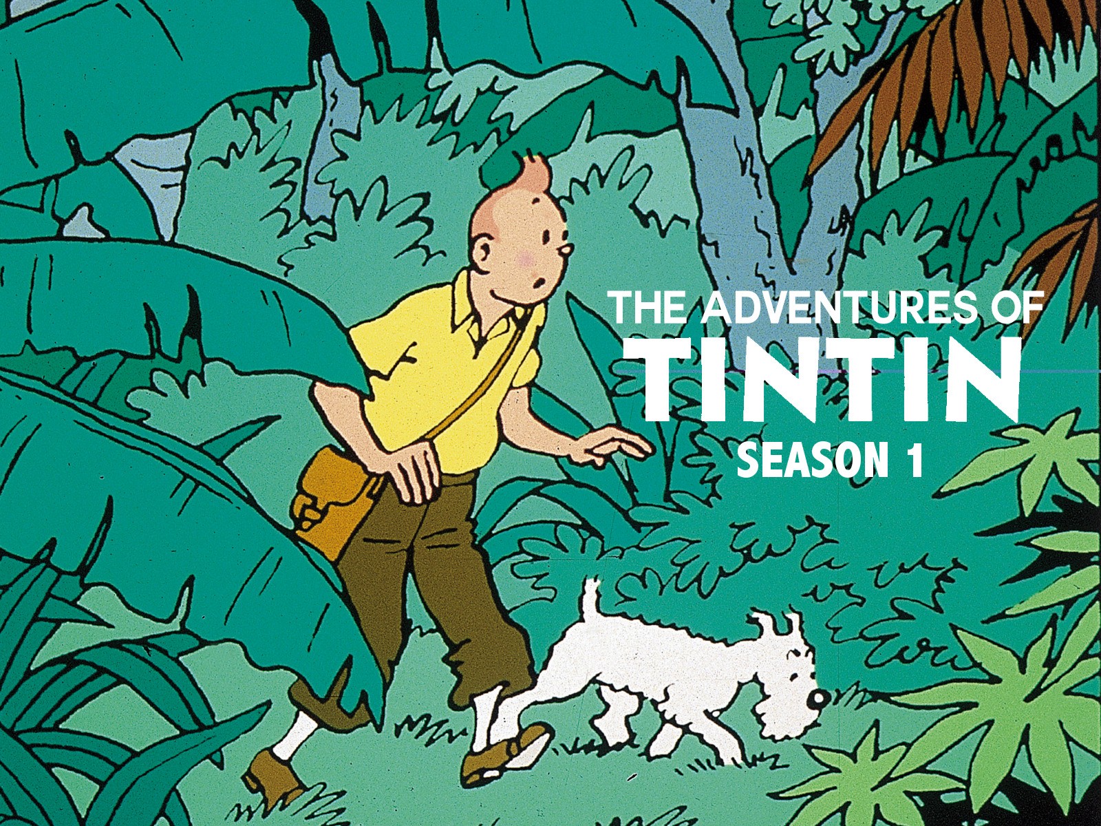 Xem phim Những Cuộc Phiêu Lưu Của Tintin (Phần 1) (The Adventures Of Tintin (Season 1)) 1991