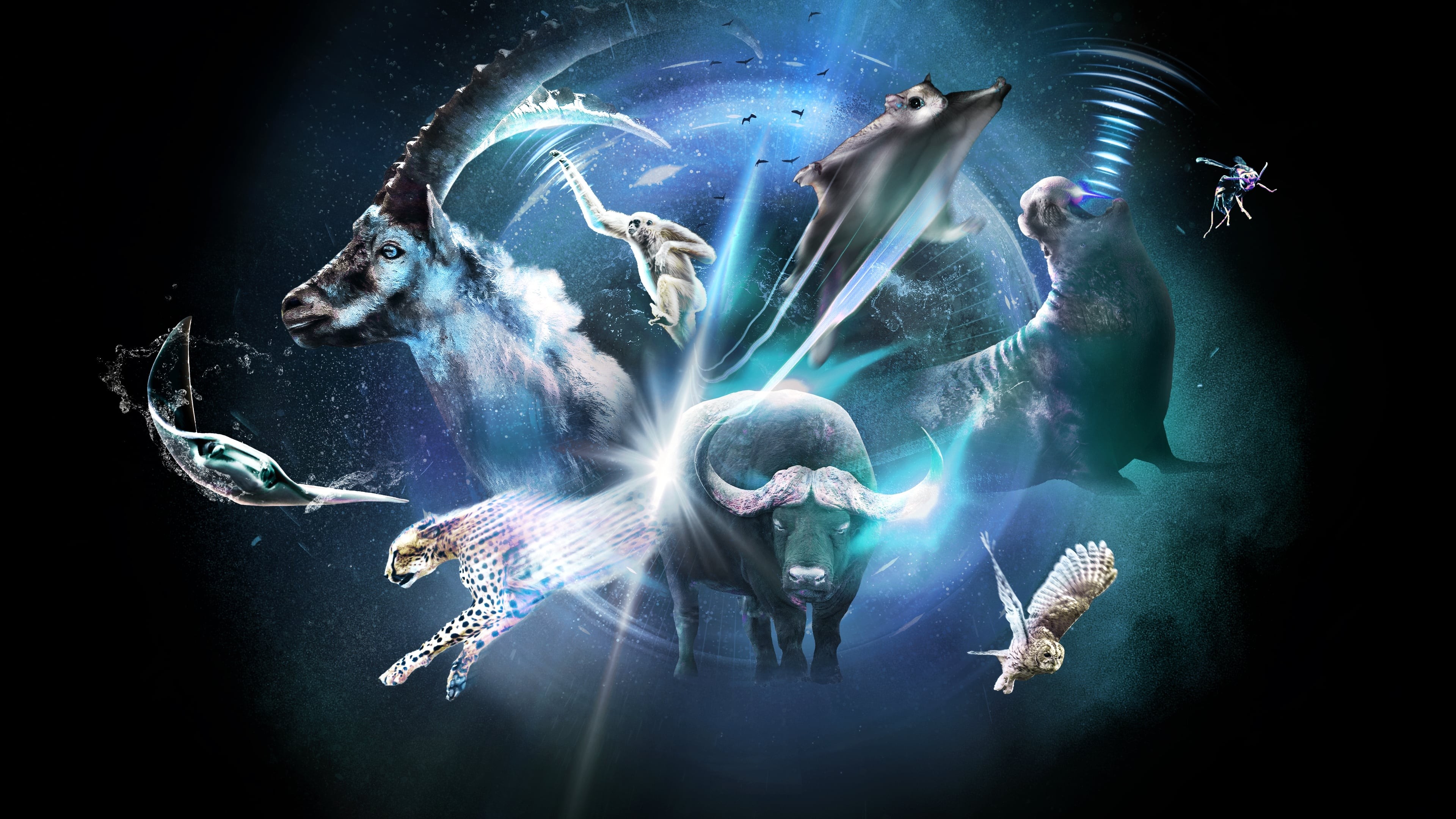 Xem phim Siêu Tự Nhiên (Super/Natural) 2022