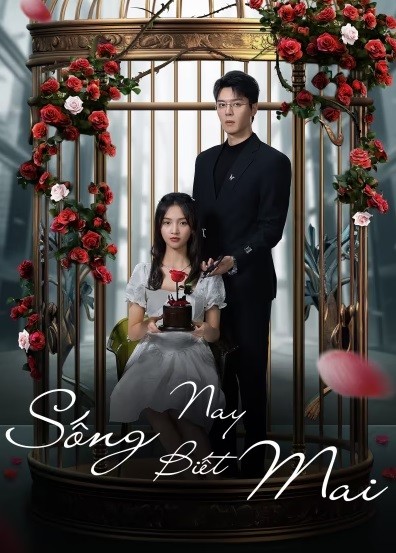 Phi Đội Tàng Hình