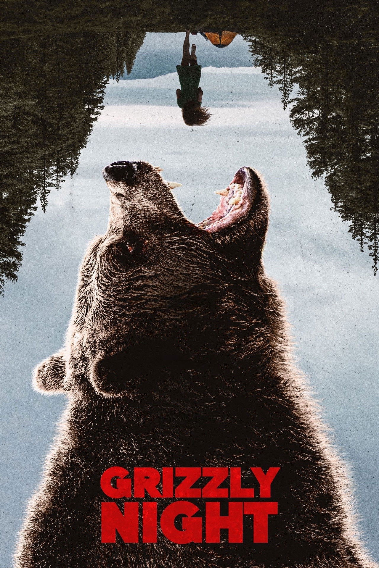 Xem phim Thảm Kịch Gấu Nâu (Grizzly Night) 2026