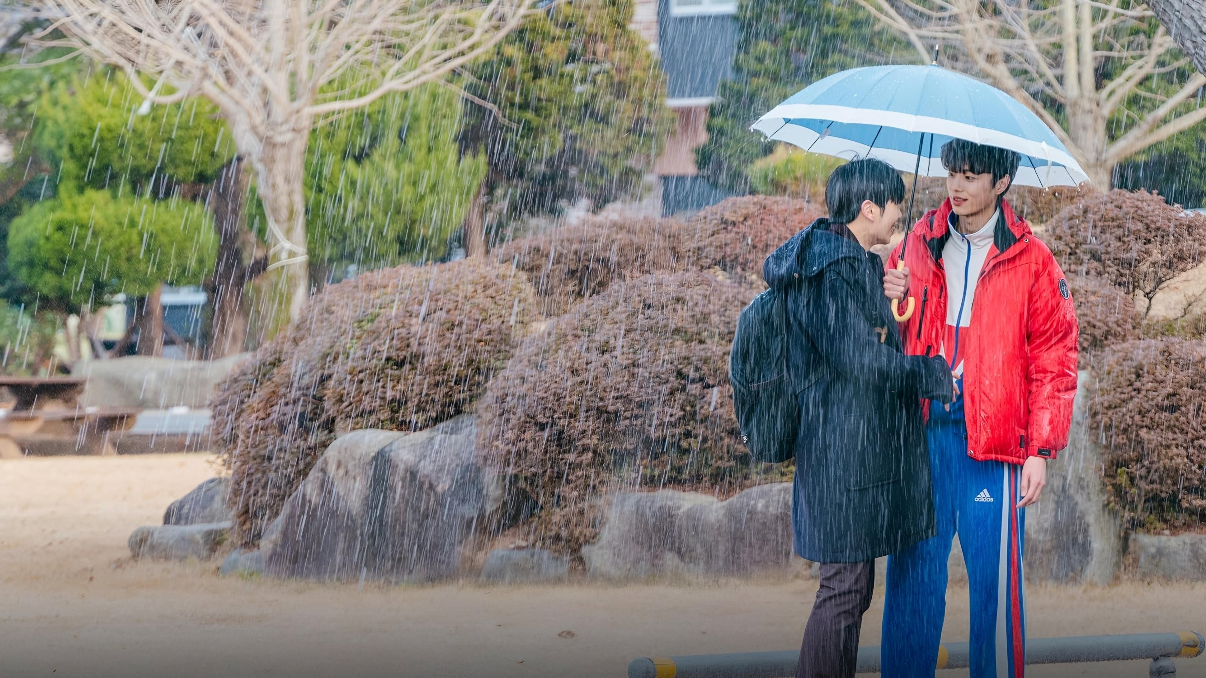 Xem phim Tháo Gỡ Lời Nguyền Taekwondo (Let Free The Curse Of Taekwondo) 2024