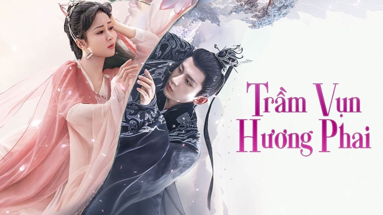 Xem phim Trầm Vụn Hương Phai (Immortal Samsara) 2022