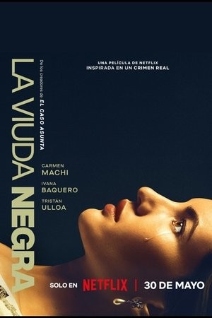 Xem phim Trò Chơi Của Một Góa Phụ (La viuda negra/A Widow's Game) 2026