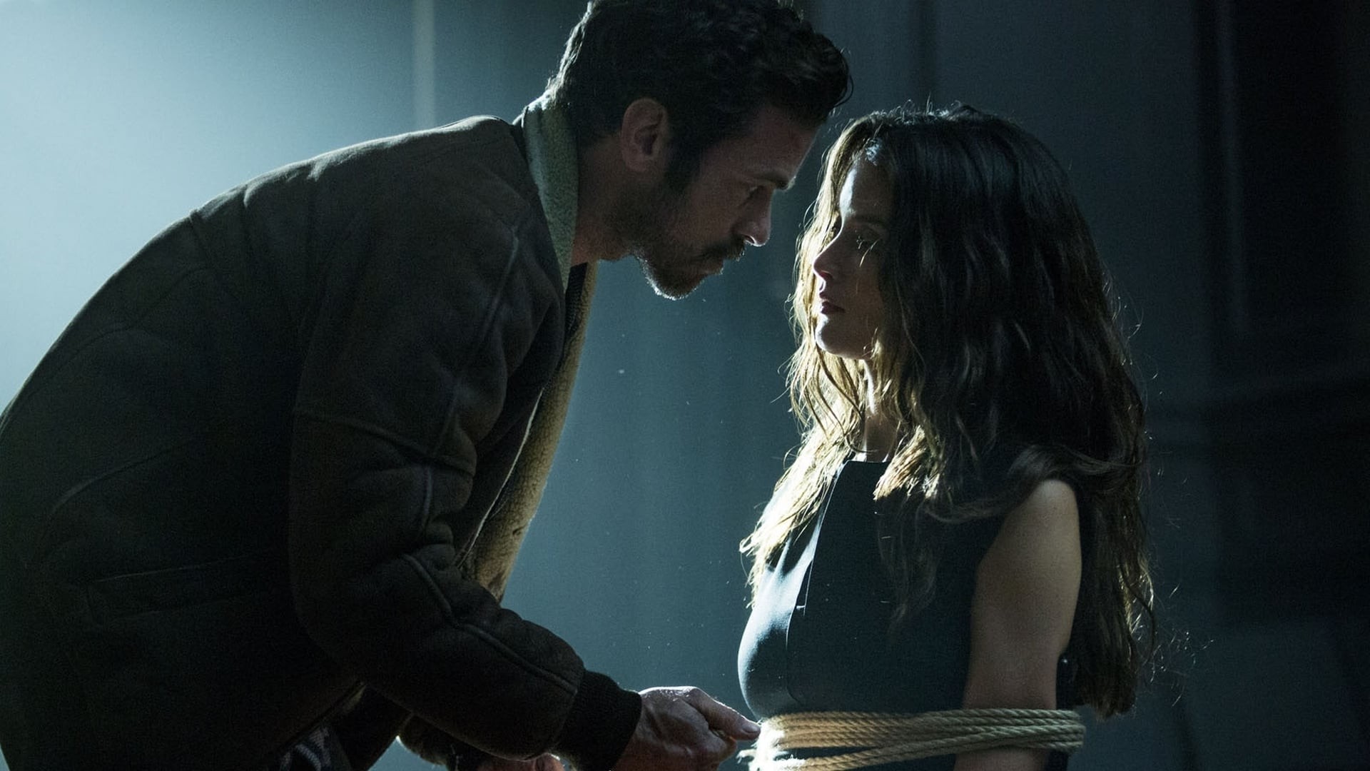 Xem phim Truy tìm Iris (In the Shadow of Iris) 2016