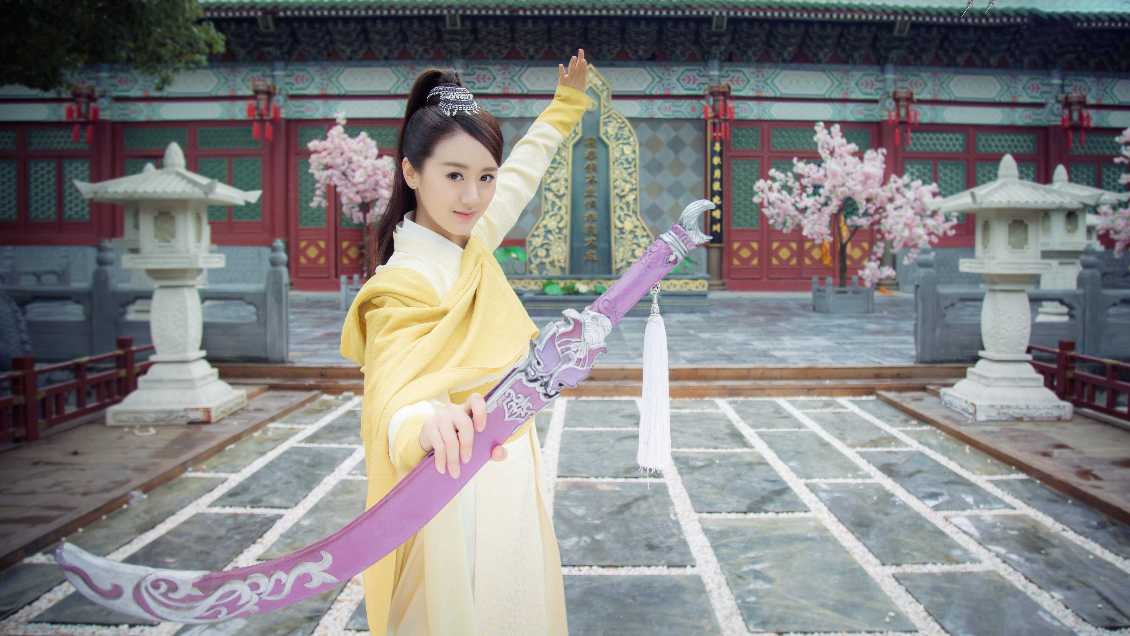 Xem phim Truyền Thuyết Phi Đao (The Legend of Flying Daggers) 2016