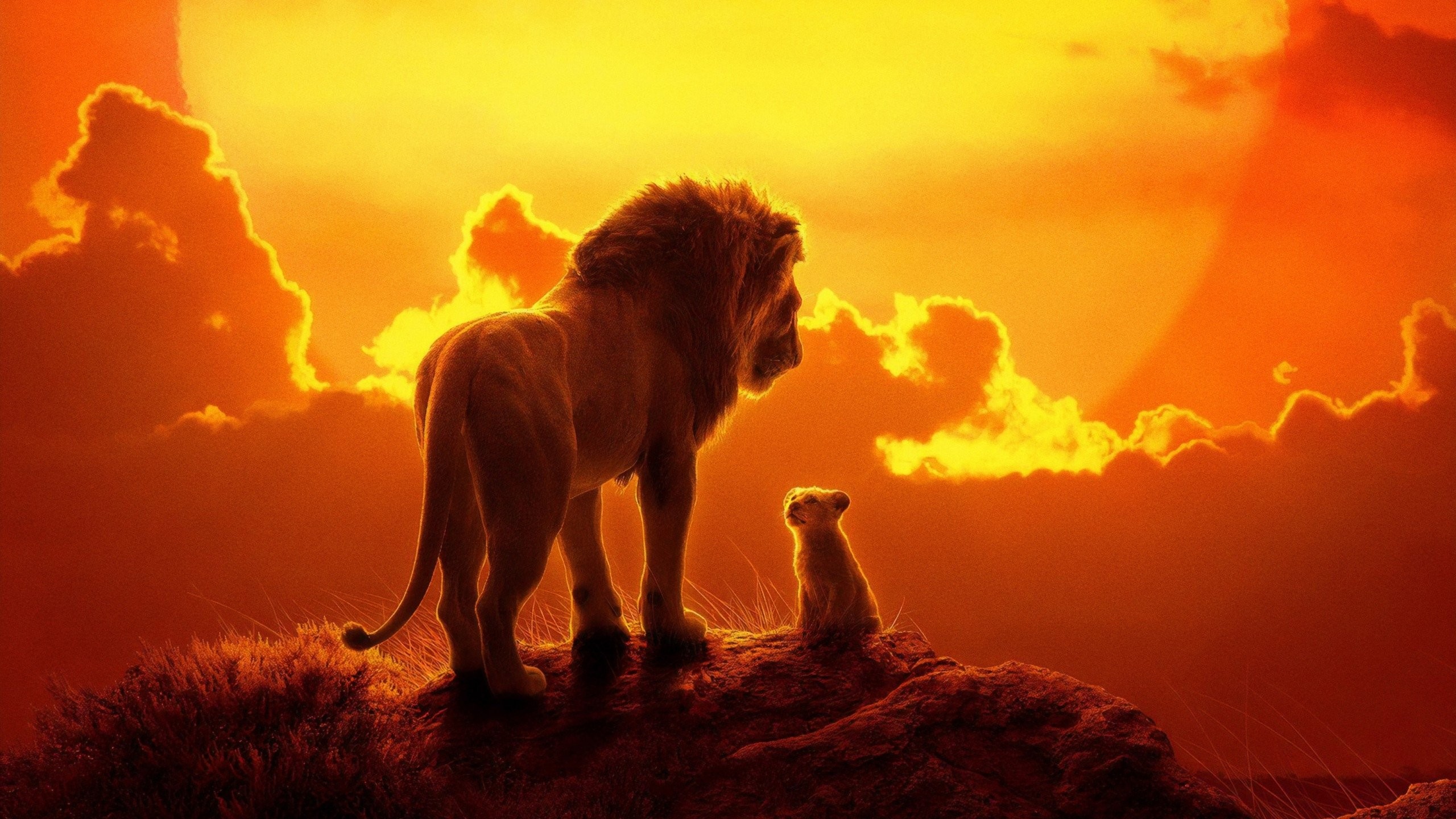 Xem phim Vua Sư Tử (The Lion King) 2019