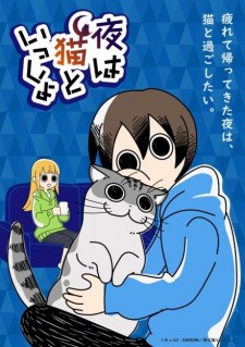 Xem phim Yoru wa Neko to Issho (Nights with a Cat, Zutto Neko Shoshinsha) 2026